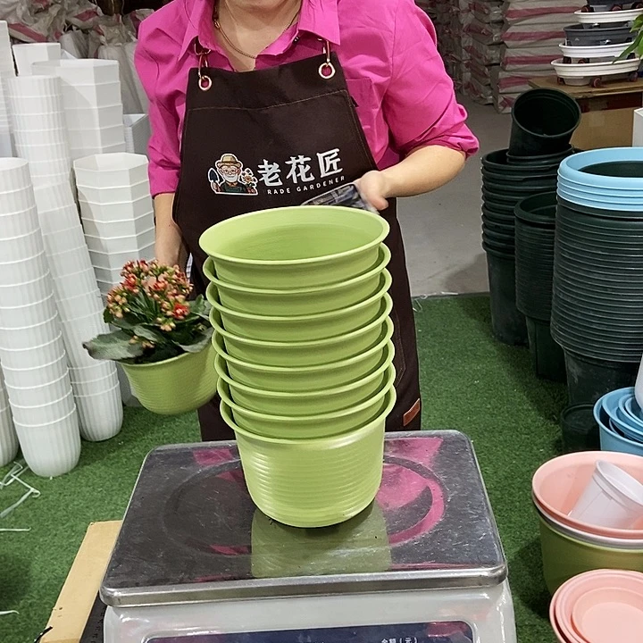 炭烧绿色口15高10.5带百拖8只