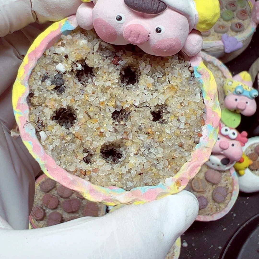 司***燕精致优秀的肉肉817-52种绿唇