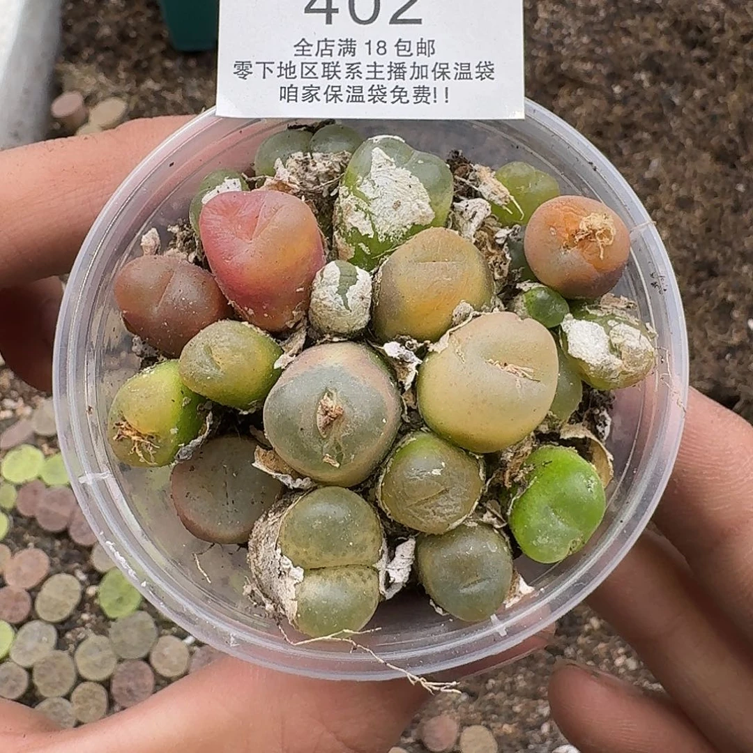 402满18包邮保温袋联系客服