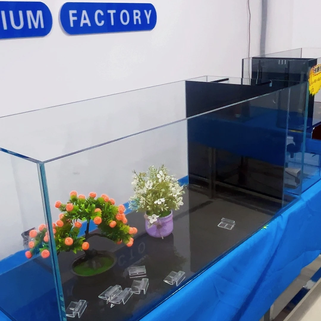 玻璃太*了1.25050侧鱼马桶玻璃盖quan t