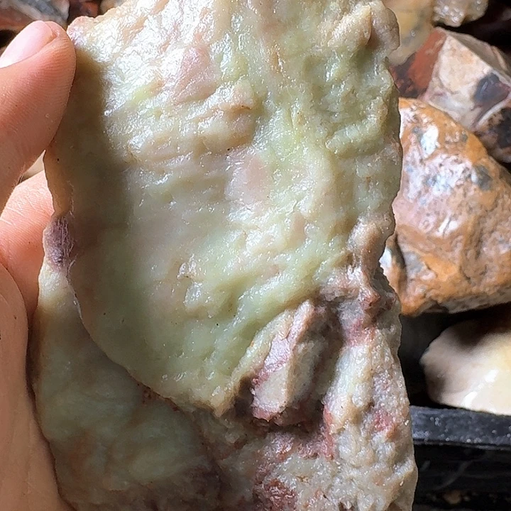 鲨***椒寿山石寿山石的种类