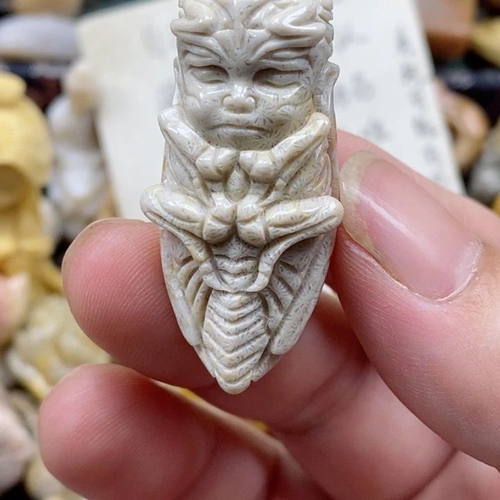 颈饰未镶嵌硅化珊瑚（珊瑚玉）