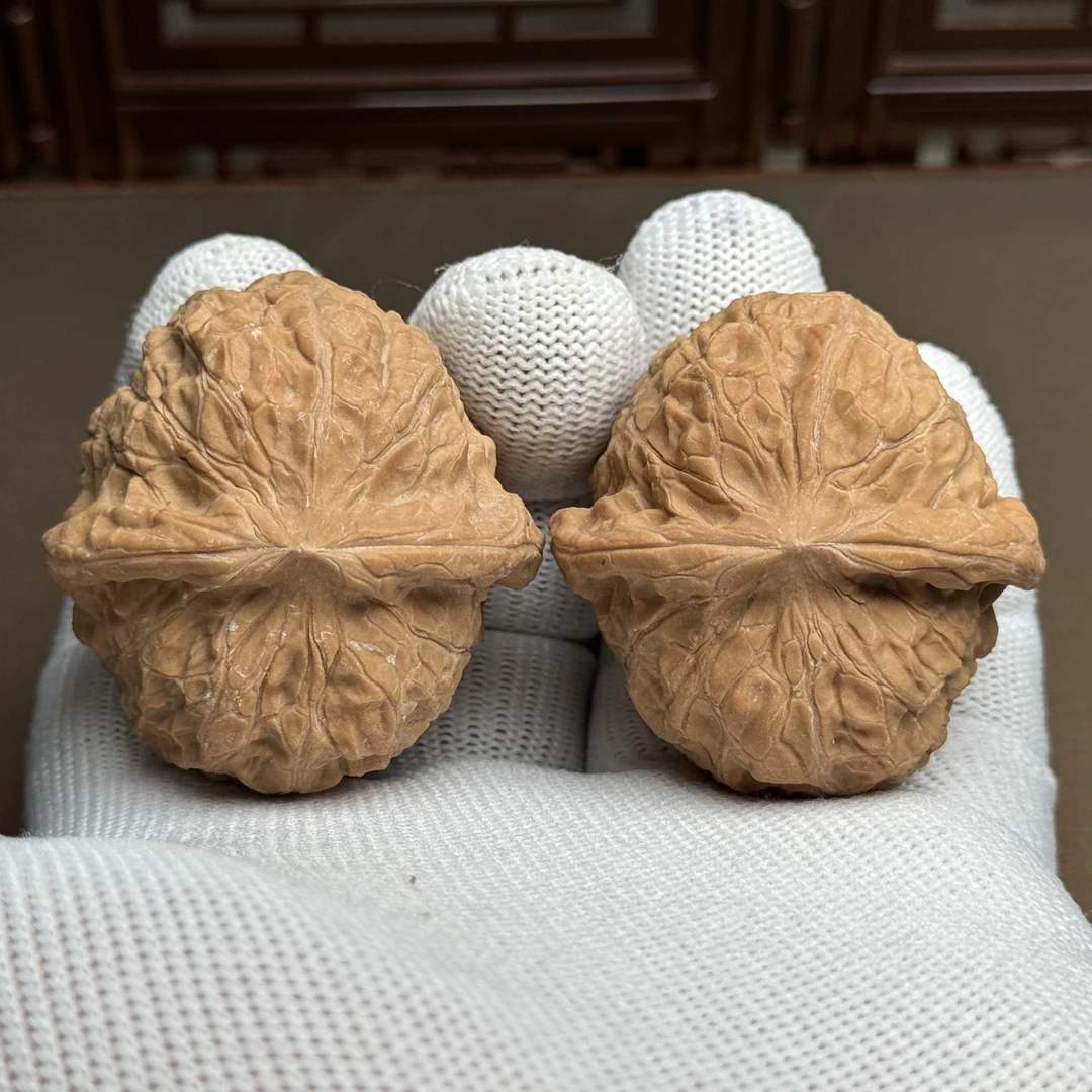 精选老树南瓜墩狮子头，边42肚44高34，老树山地果骨质好克重足全品