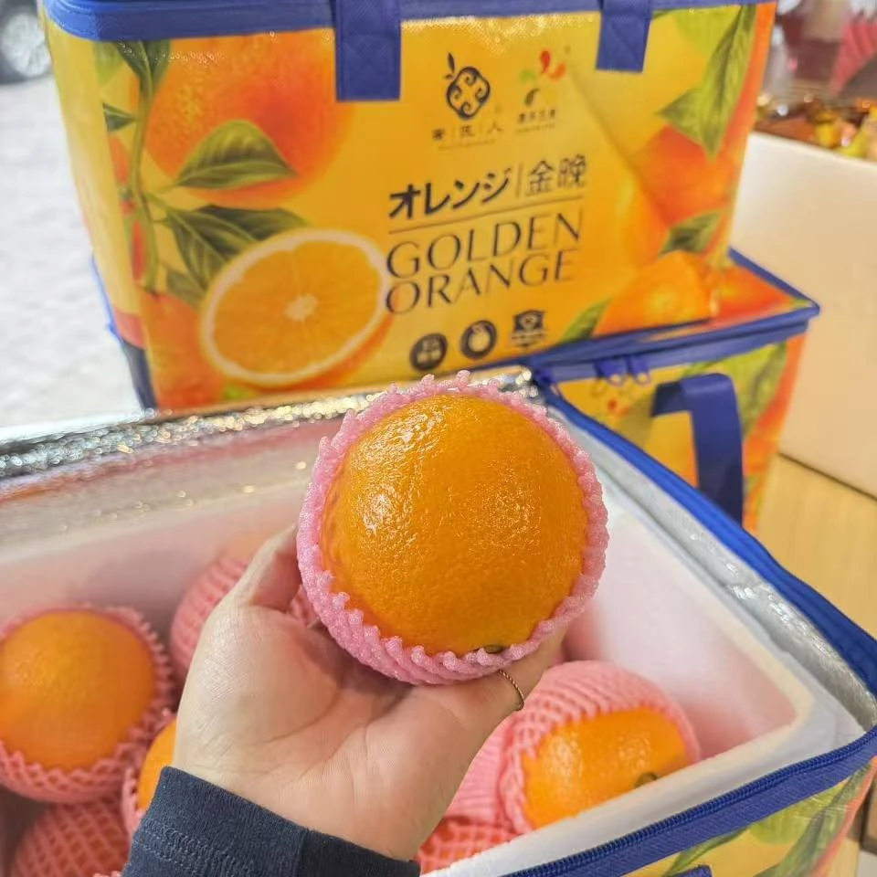【达吾水果】蜜匠人.金晚橙手提礼盒装7.5起(骑手配送到家)