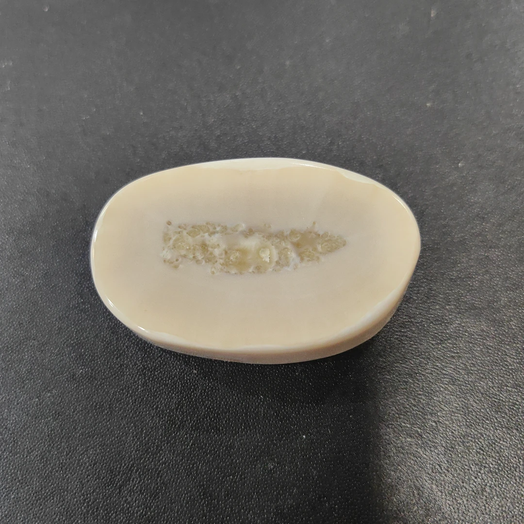 猛犸猛犸虬饼子 WT304