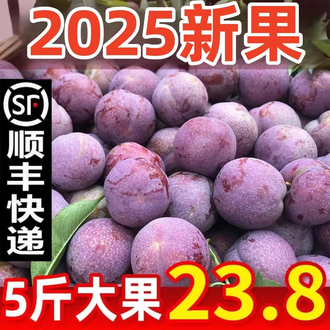 新鲜三华李广东信宜钱排红心李子孕妇水果现摘酸脆甜广西当季5斤