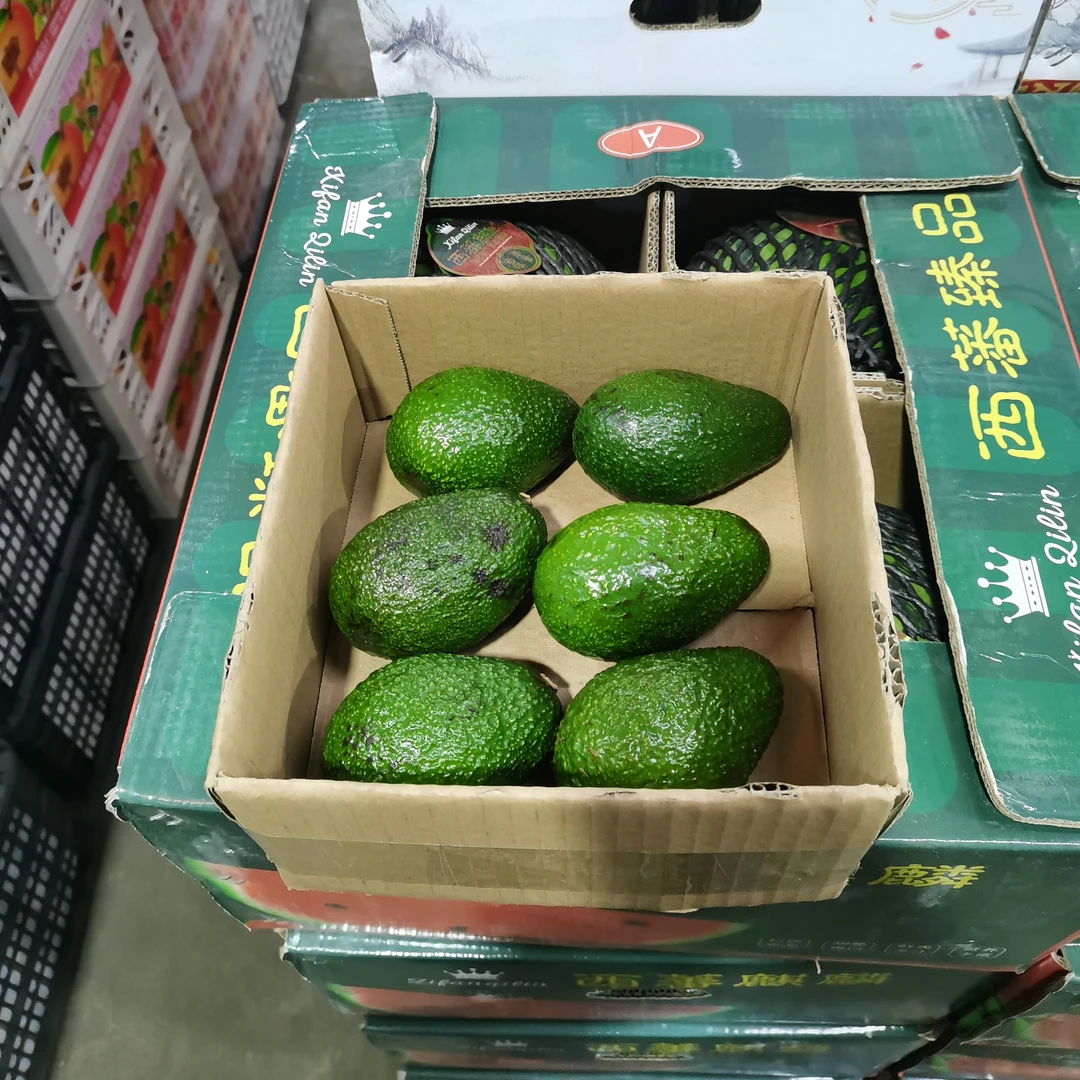 牛油果，6枚装，22枚装