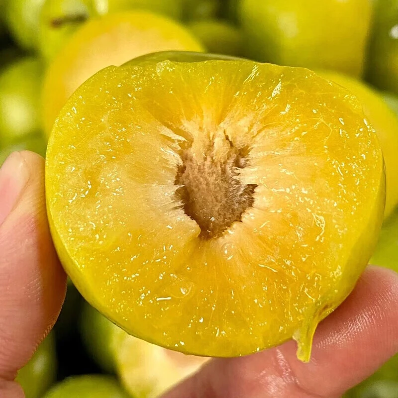 顺丰包邮新鲜蜂糖李脱骨李子新鲜水果脆甜现摘现发蜂糖李顺丰包邮