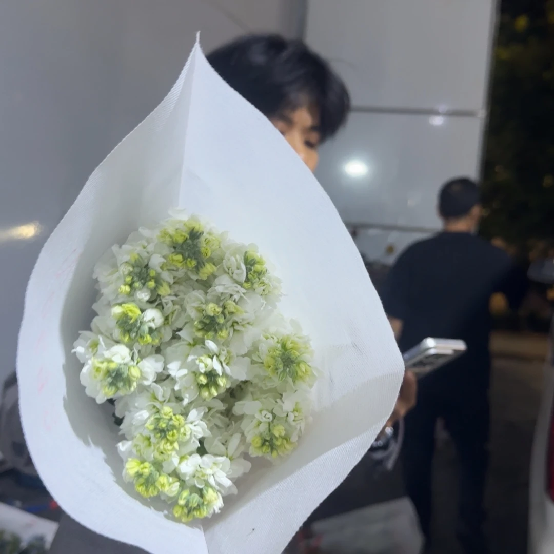紫罗兰1扎包邮价秒杀