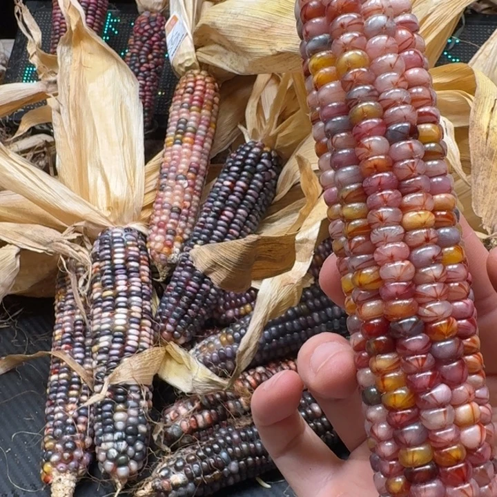 米***夏吊坠柏香籽/百香籽