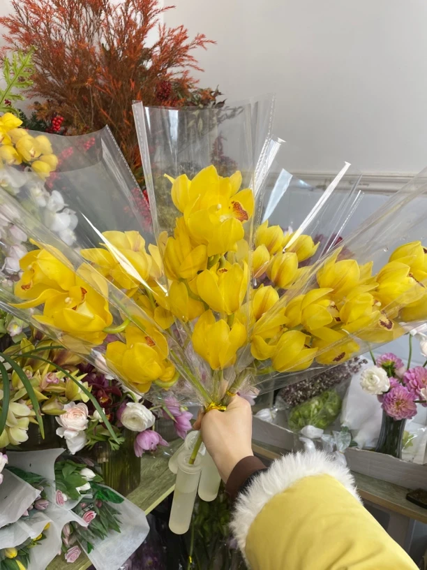 福利黄色大花惠兰3支