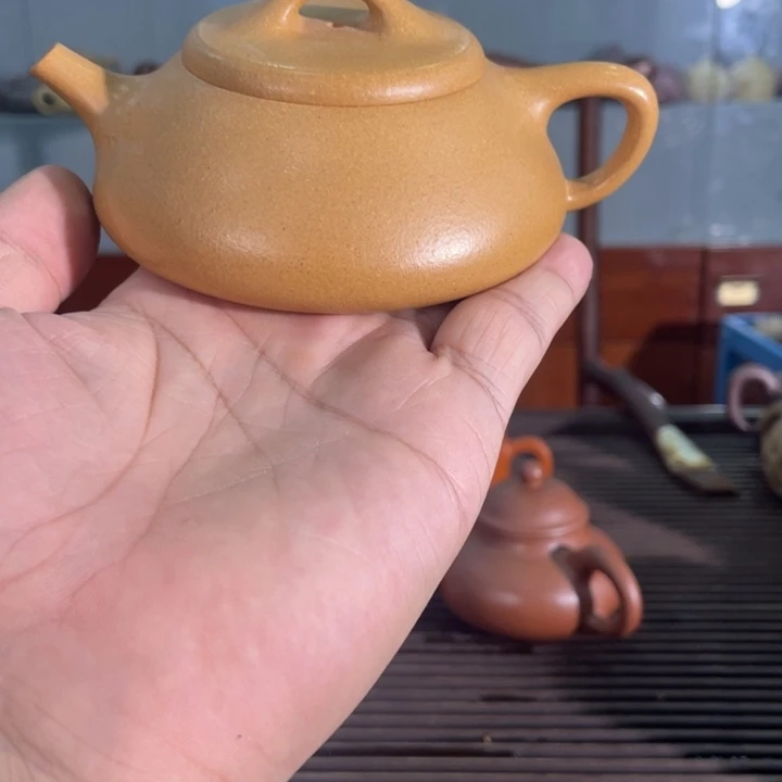 茶壶紫砂哈哈哈哈哈这个综艺节目真的是太棒