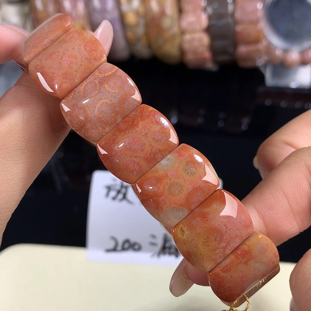 硅化珊瑚（珊瑚玉）未镶嵌吊坠(赠链)12号手排200漏128