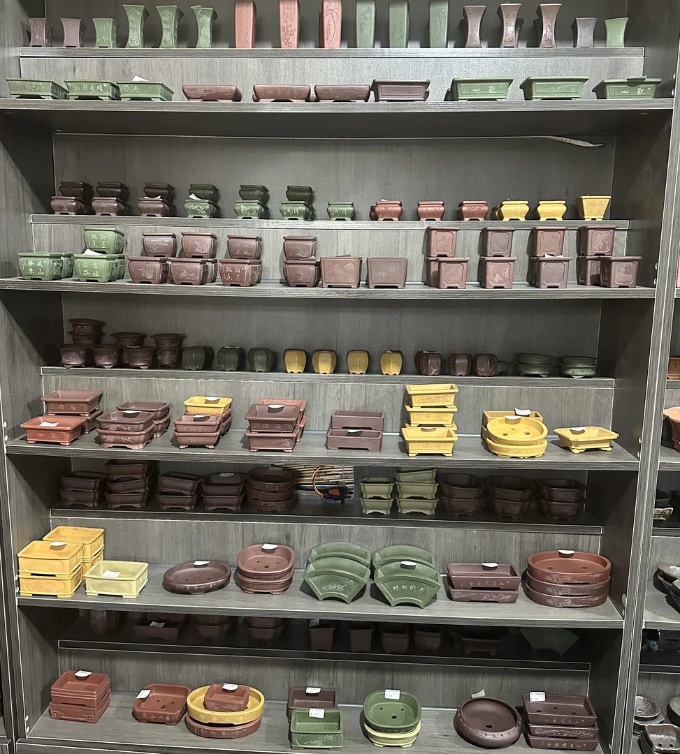 花盆直播间一物一拍（新疆西藏内蒙宁夏甘肃青海不包邮）