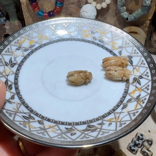 瓷片瓷瓷瓷纯纯粹粹瓷瓷瓷
