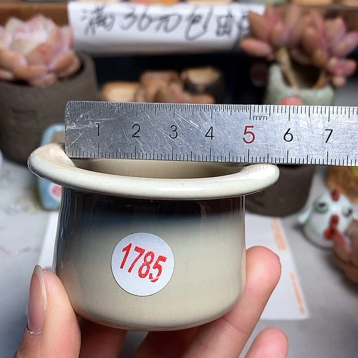 红陶拍5送一个小