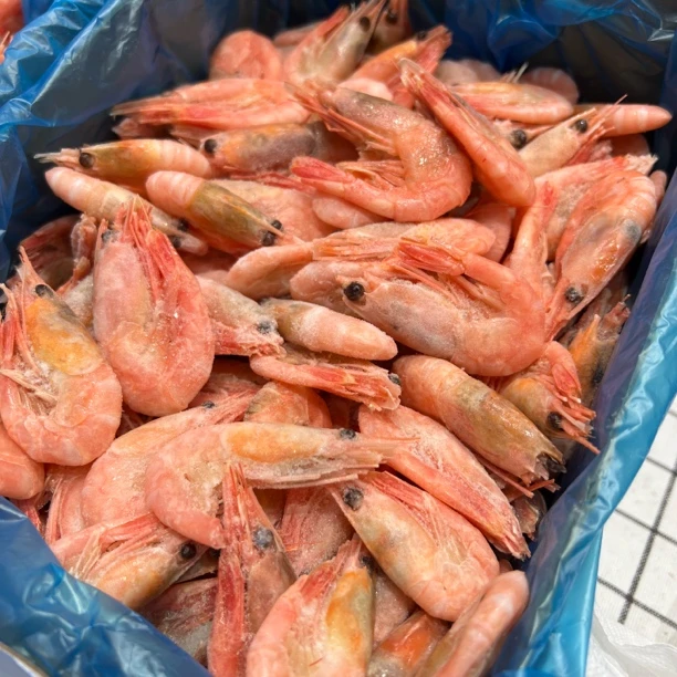 【打渔叔】海藻头北极虾一箱