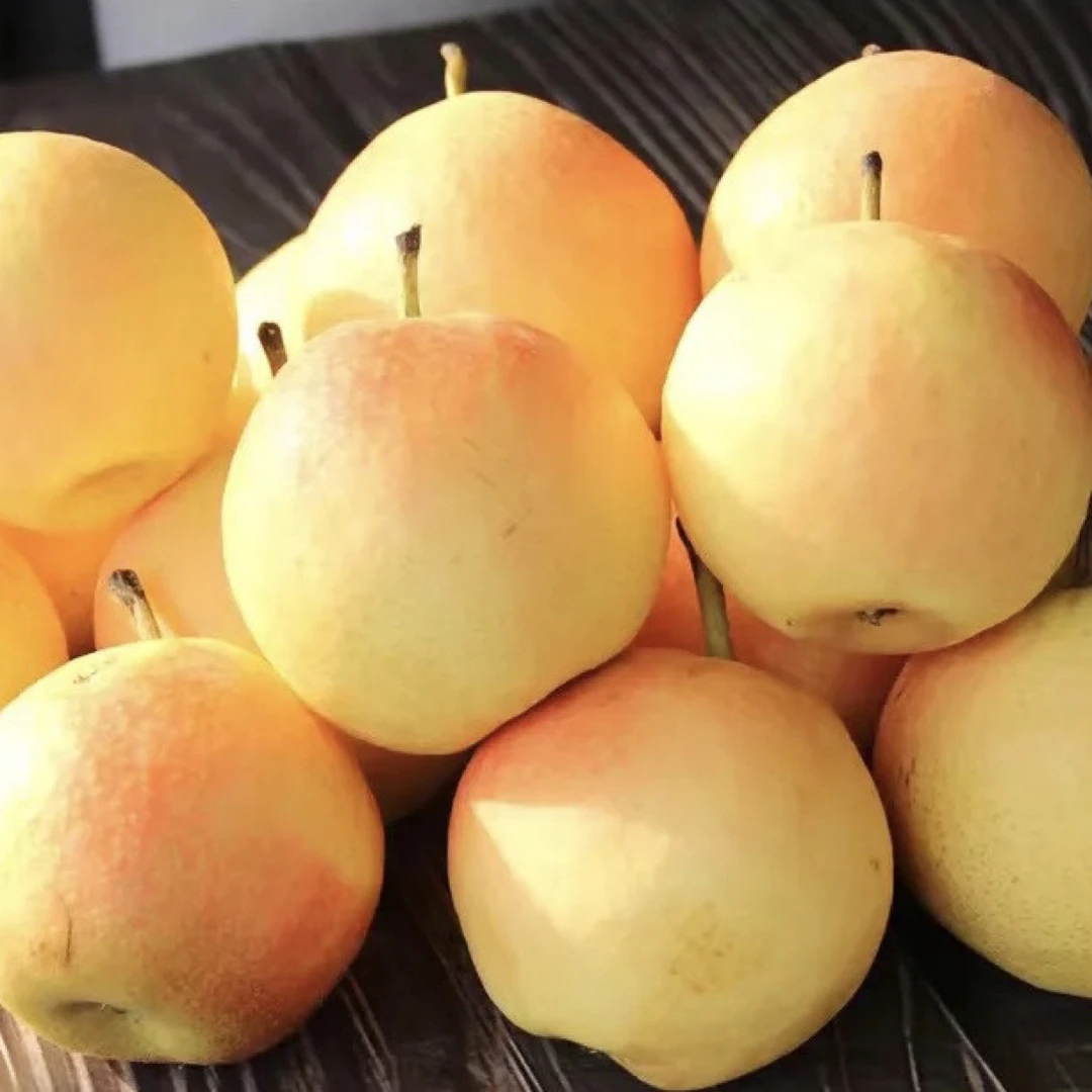 正宗东北英不落南果梨5斤家庭装 辽宁鞍山特级南果梨网红新鲜水果