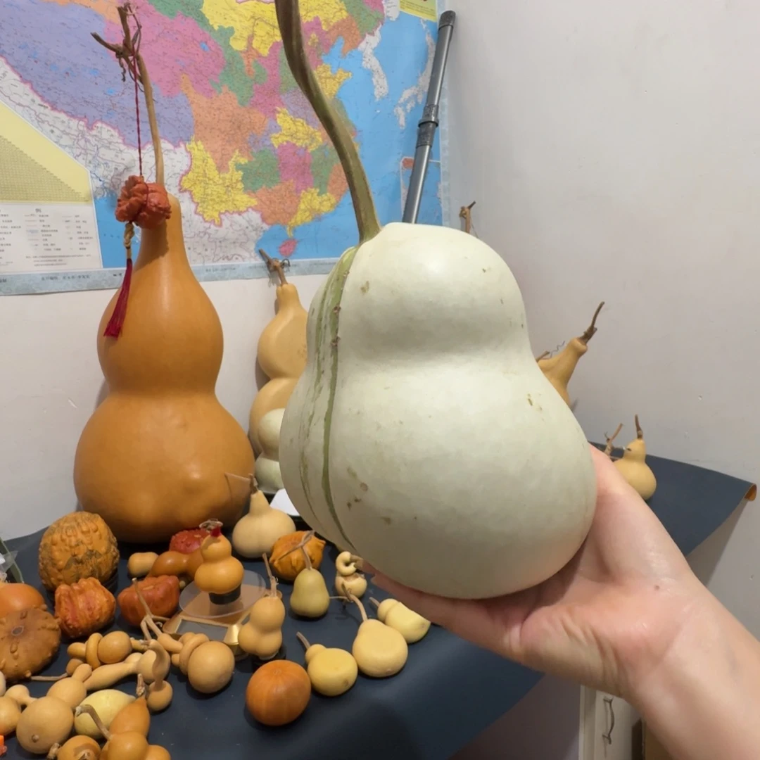 骨头我考虑吞没旅途哟