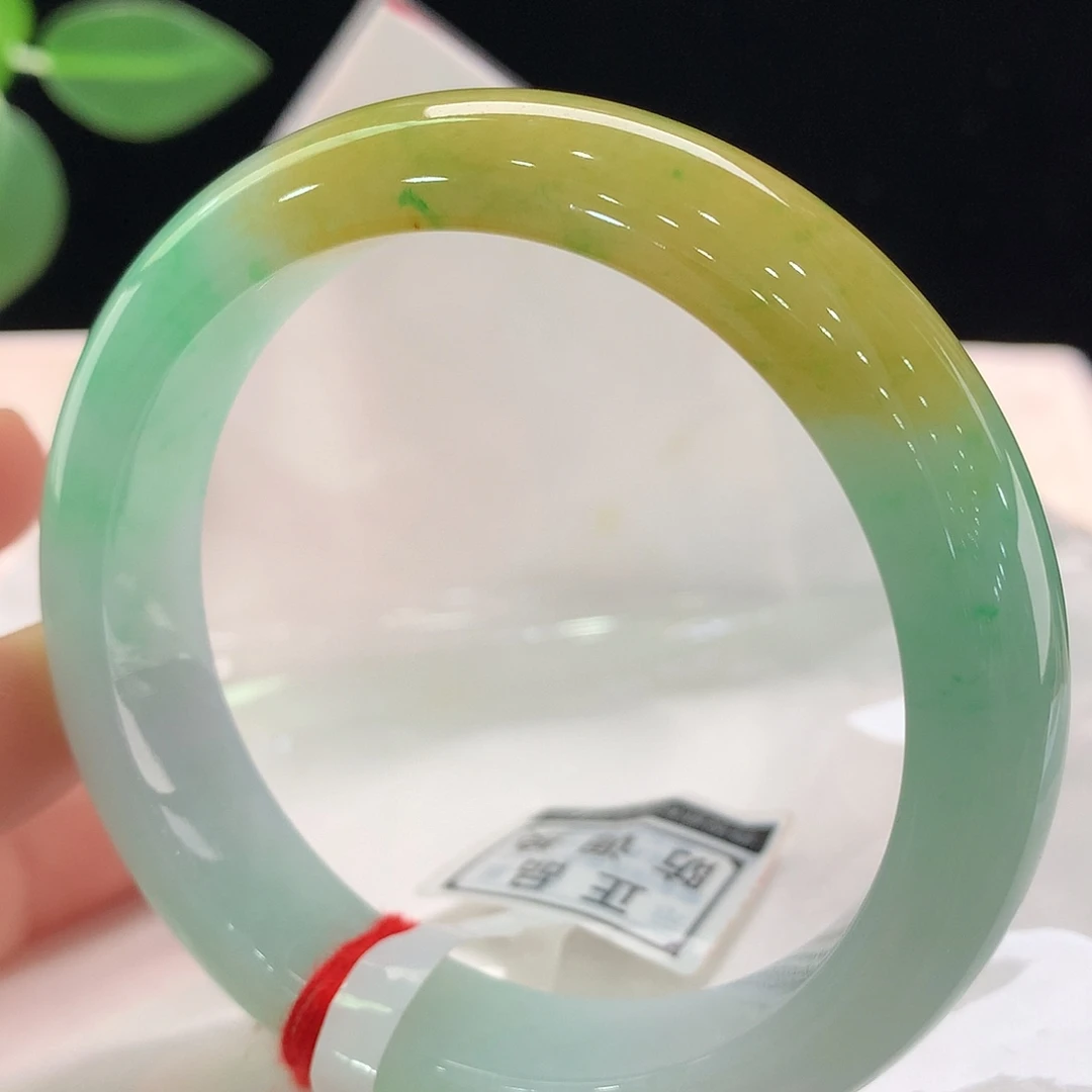 未镶嵌手镯翡翠0300