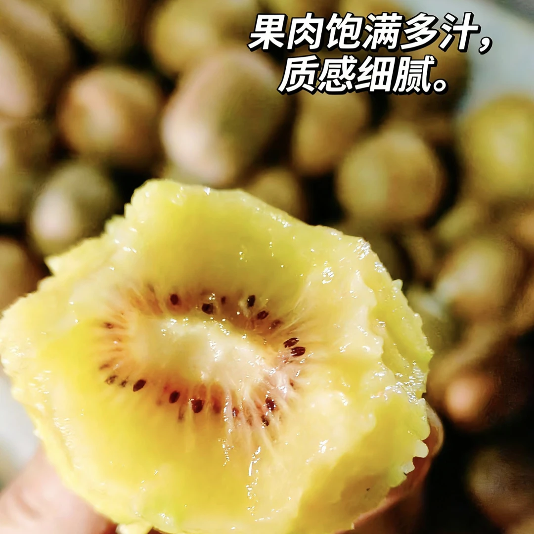 生态种植红心猕猴桃河南省