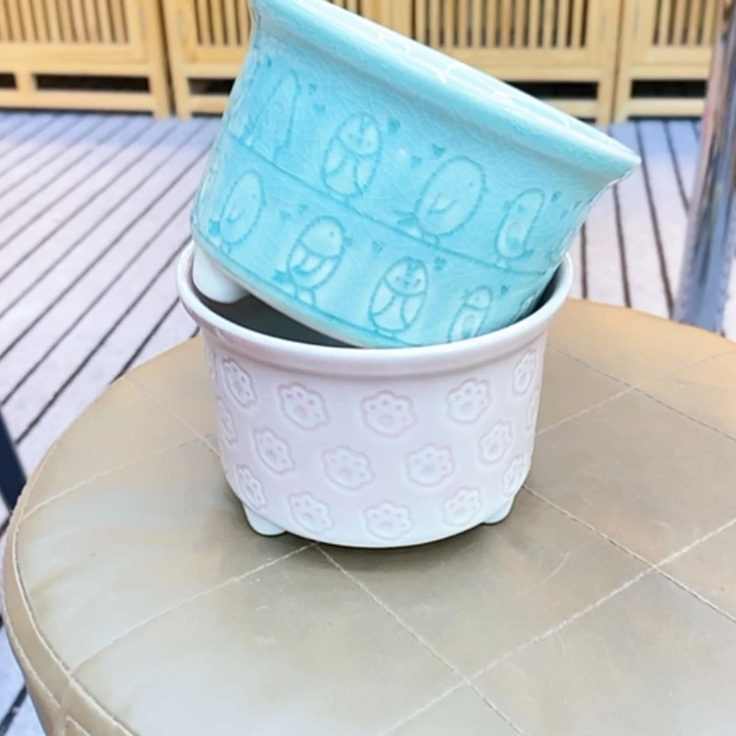 【闪购商品】福利花盆9.99包邮