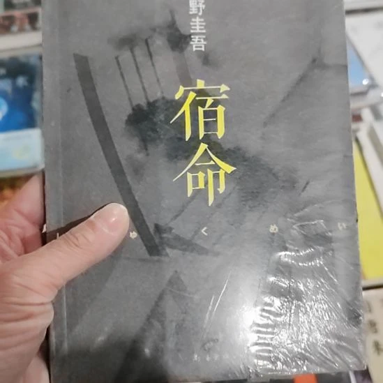 东野圭吾宿命宿命