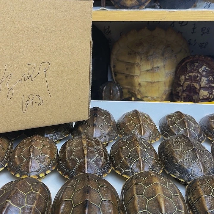 【闪购商品】有机玻璃?***亿