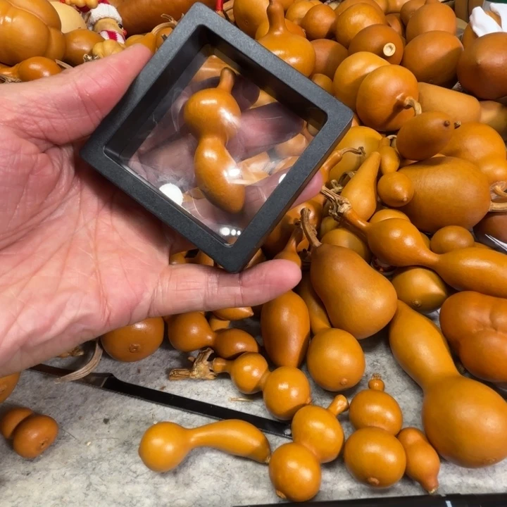 小***爽小爽的一把蚂蚁蚂蚁葫芦小手