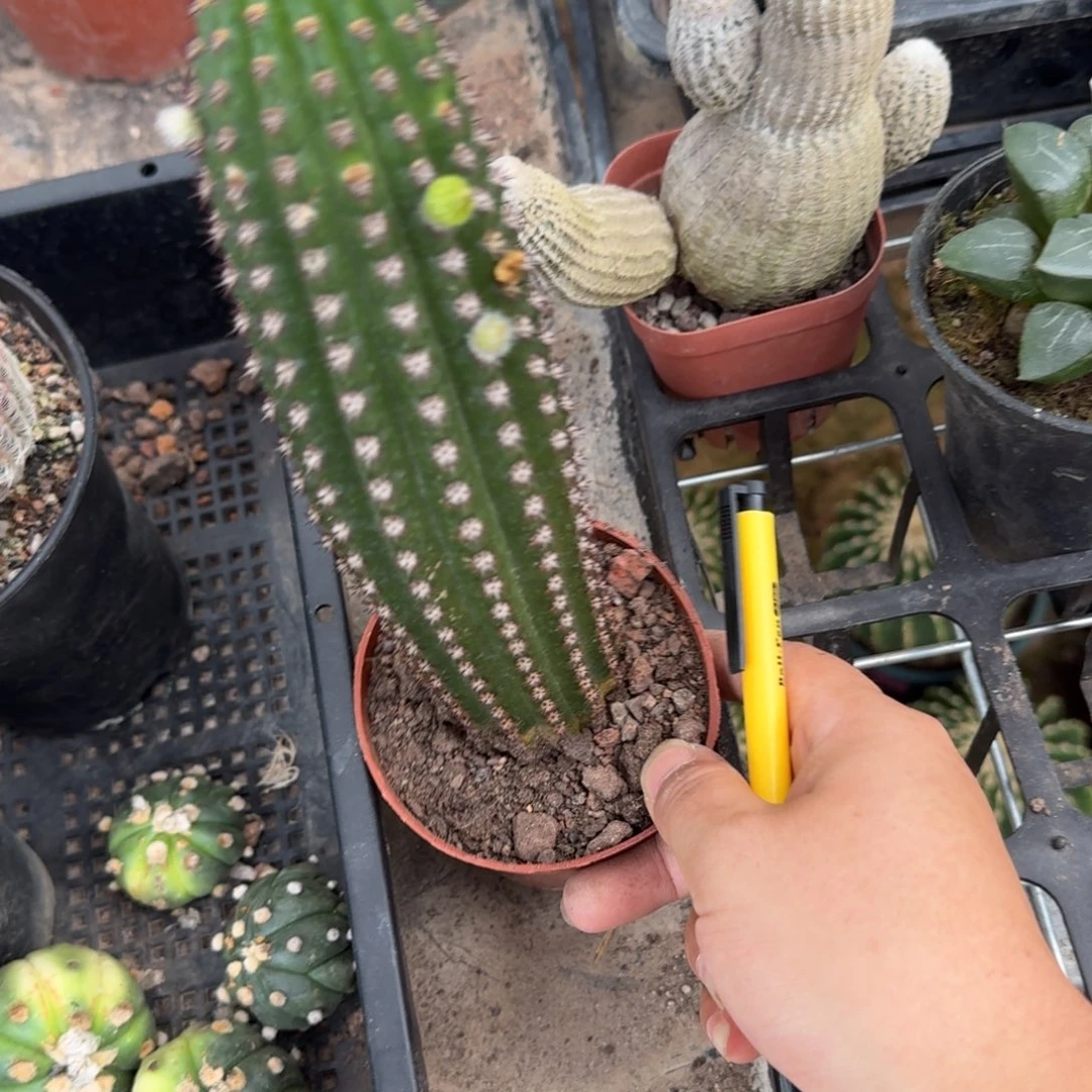 ＿***＿可口可乐了可口可乐了