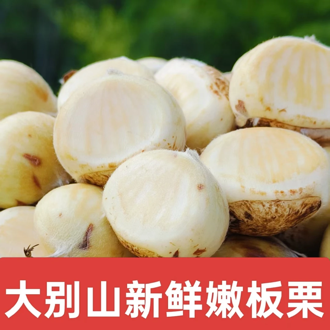 大别山新鲜现摘嫩板栗香甜脆口内皮好剥即食
