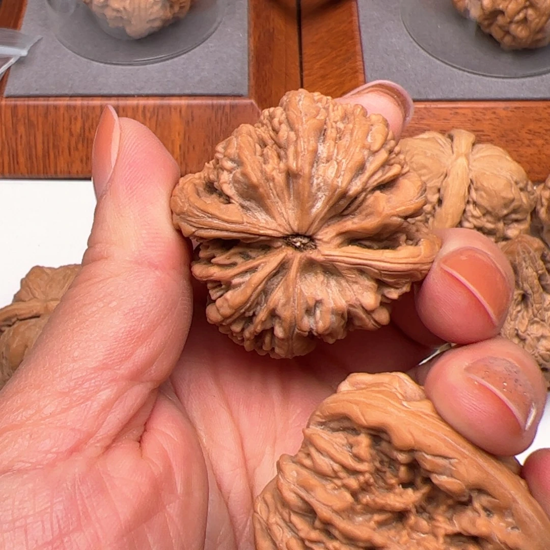 文玩核桃把件y*虎头王40红