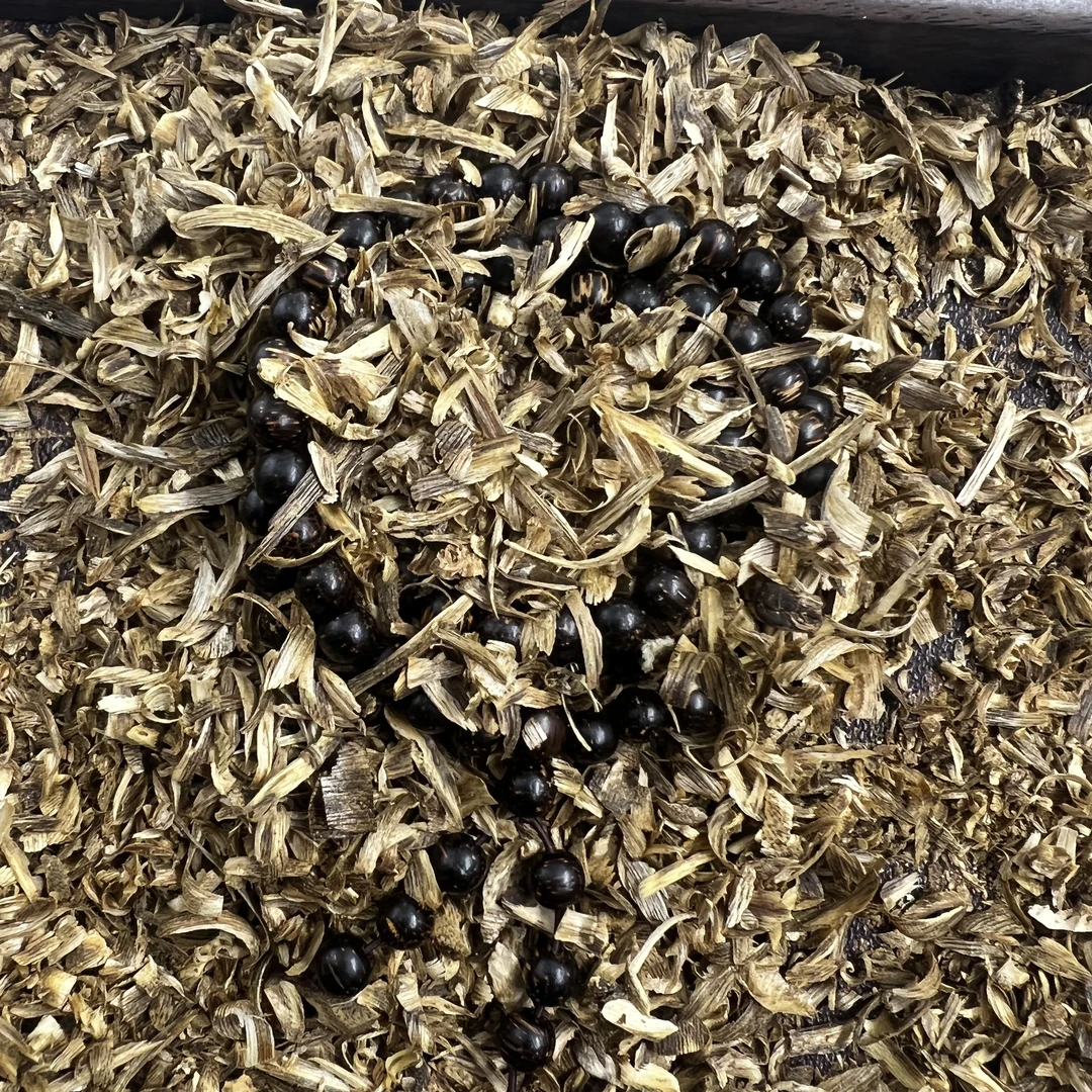 沉香沉香沉香龙-0.8-多