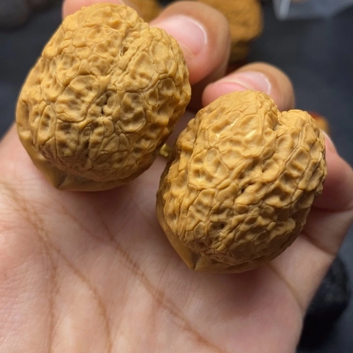 把件文玩核桃40尺金蟒元宝