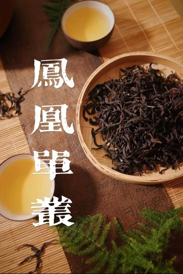 【头春东方红】潮州凤凰单枞茶 高山老枞春茶