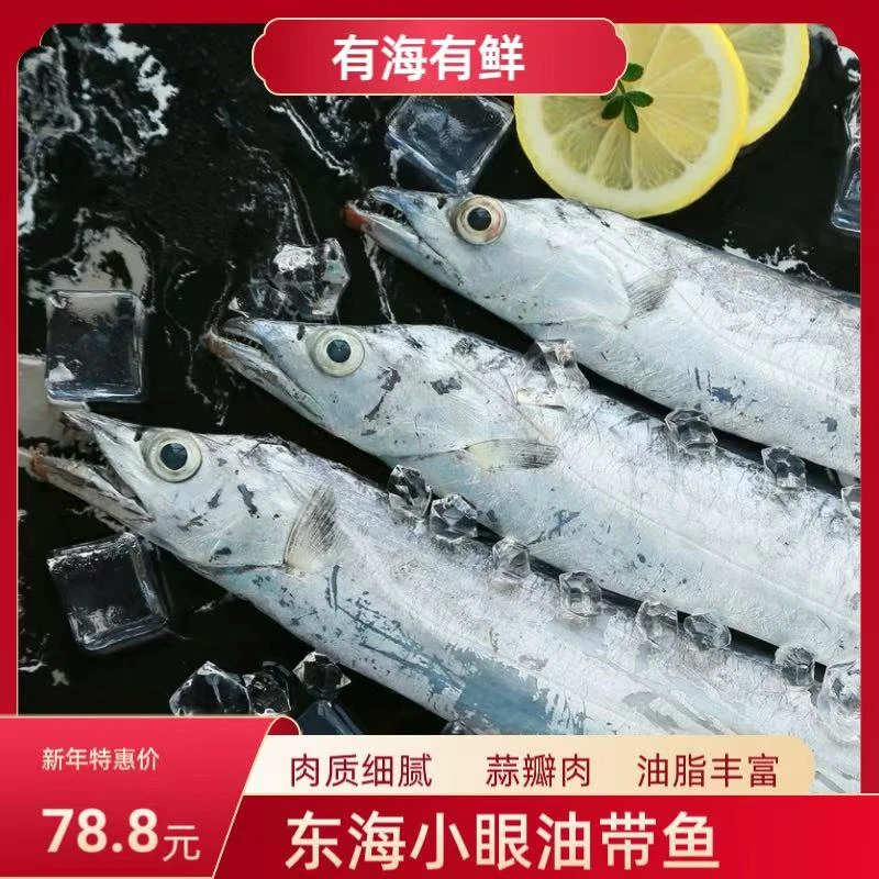 东海小眼油带鱼黑眼带切段真空顺丰包邮