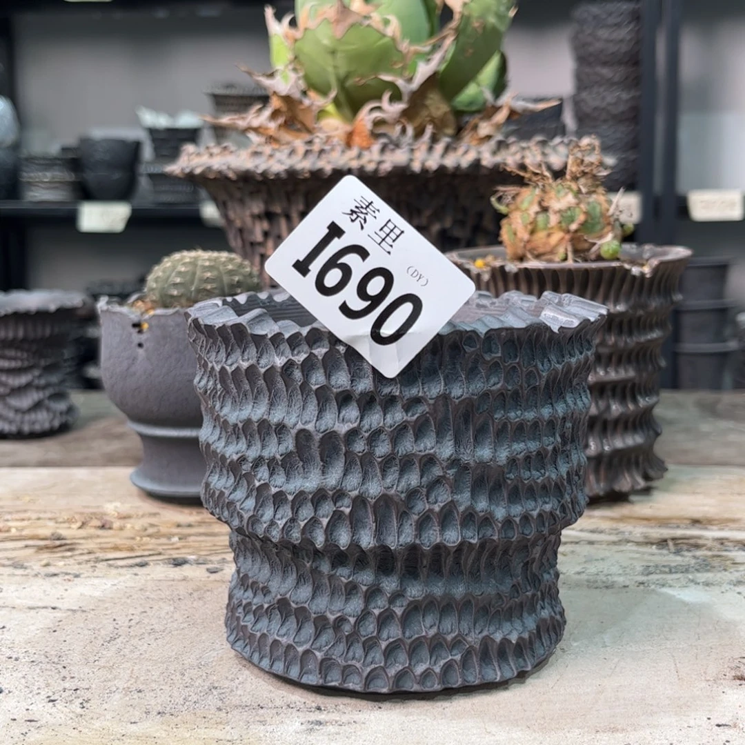 陶内口9.5高9.5景德镇