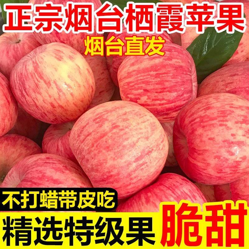 好品山东丨正宗烟台栖霞红富士苹果孕妇水果自然成熟包邮当季热卖