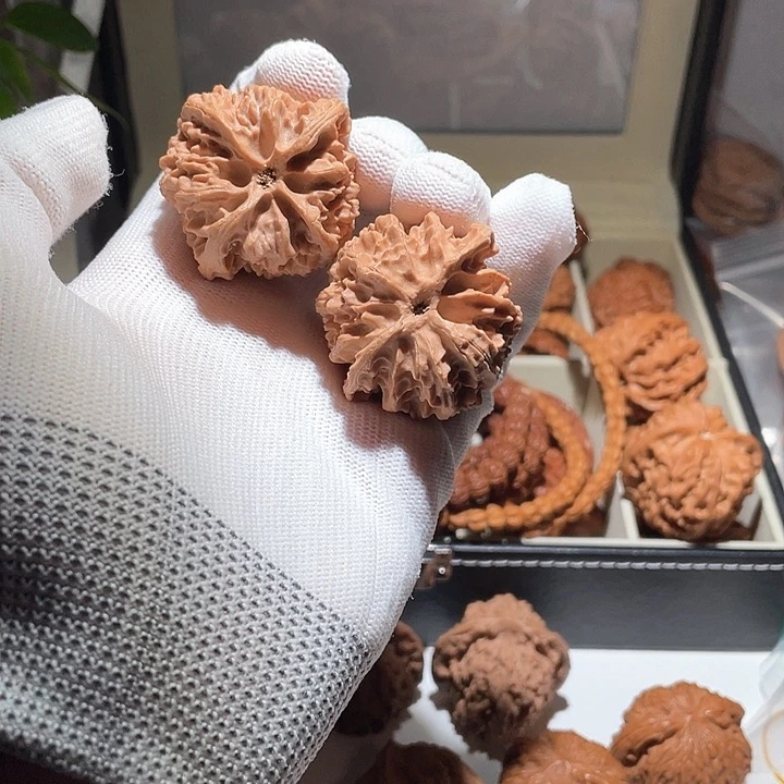 声*42全品苹果园狮子头