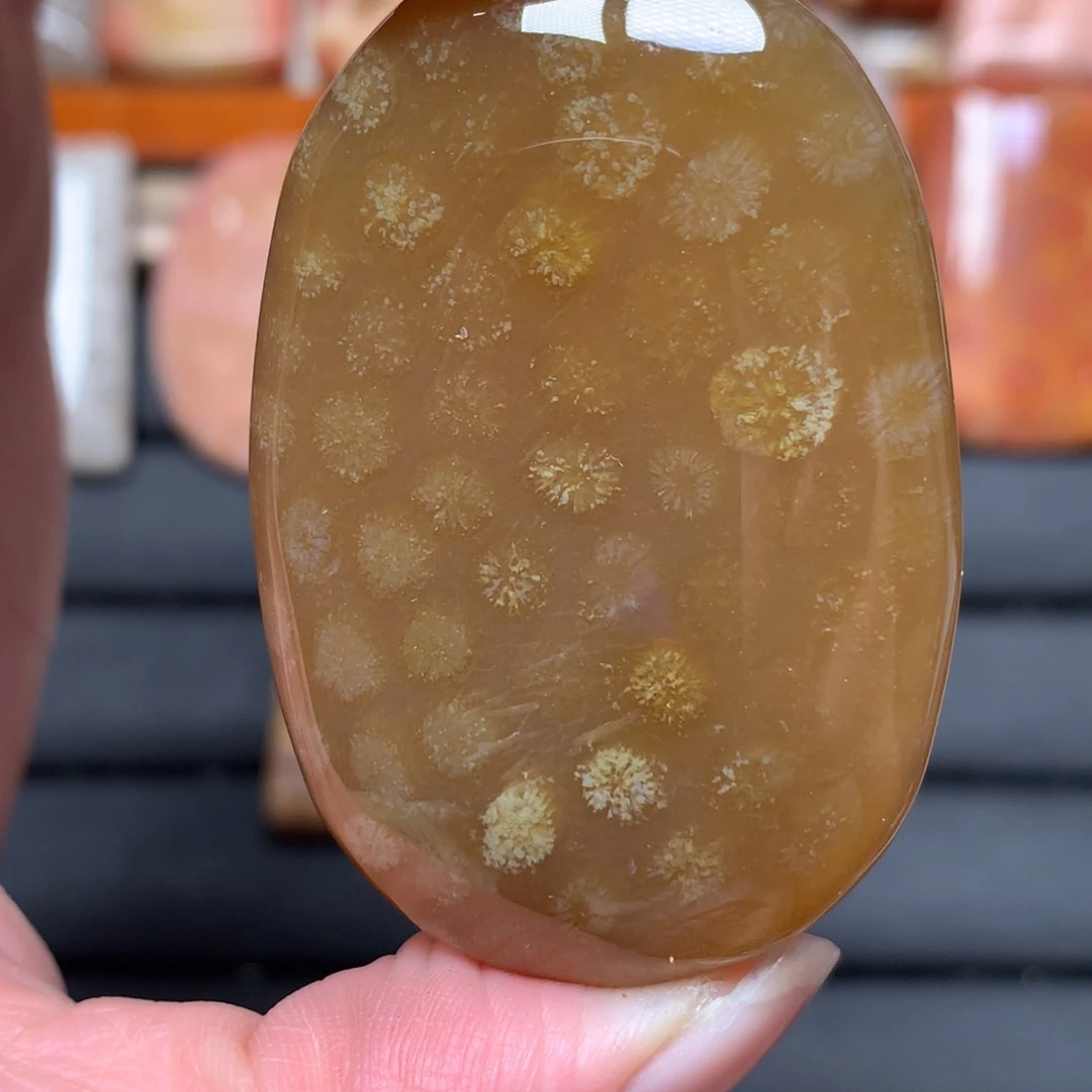 ****️硅化玉未镶嵌吊坠无事牌手排平安扣