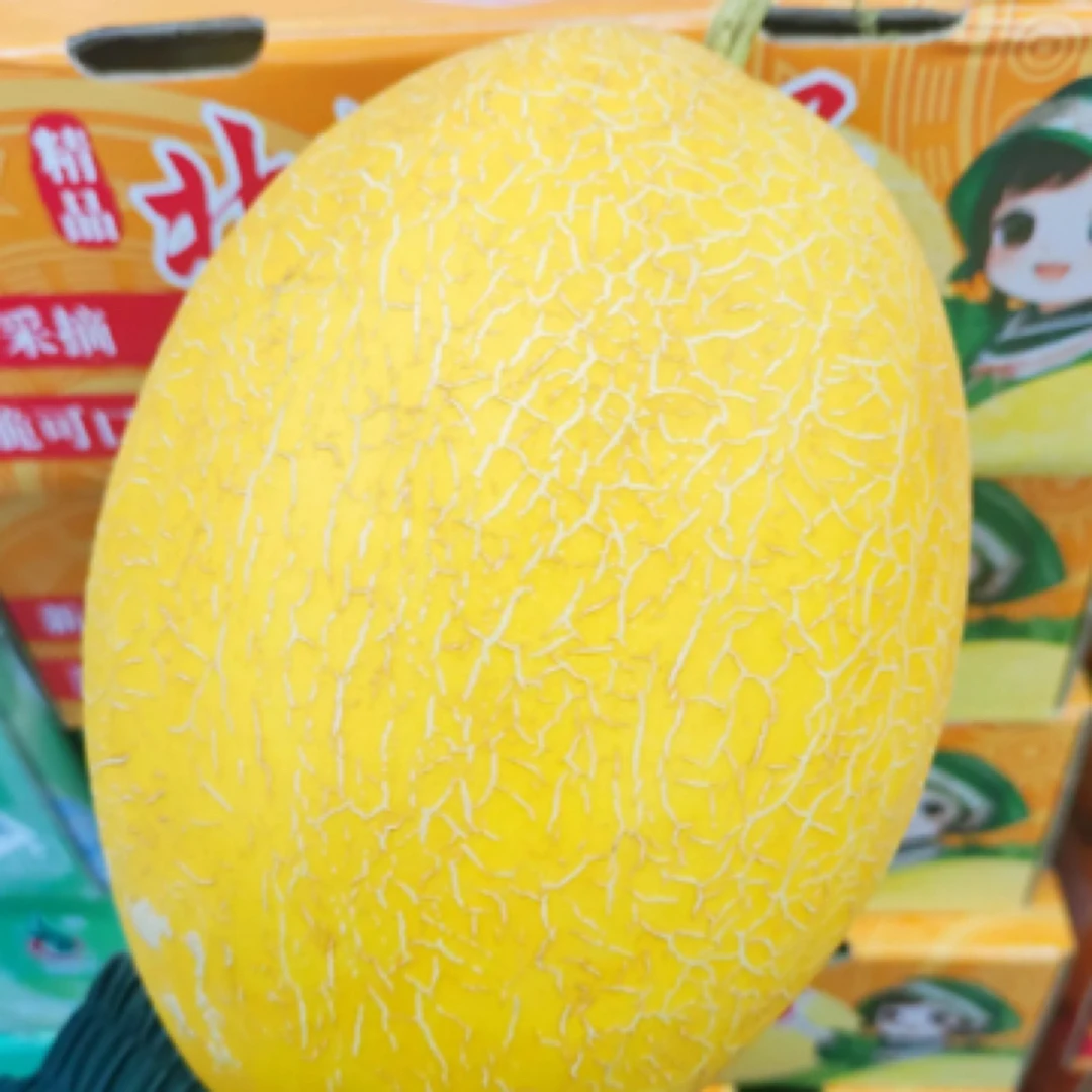 【2000g左右】北海一号精品哈密瓜