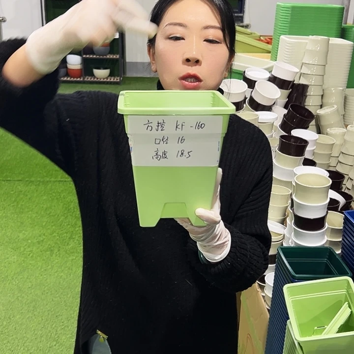 特价方盆口16高18果绿5支无托