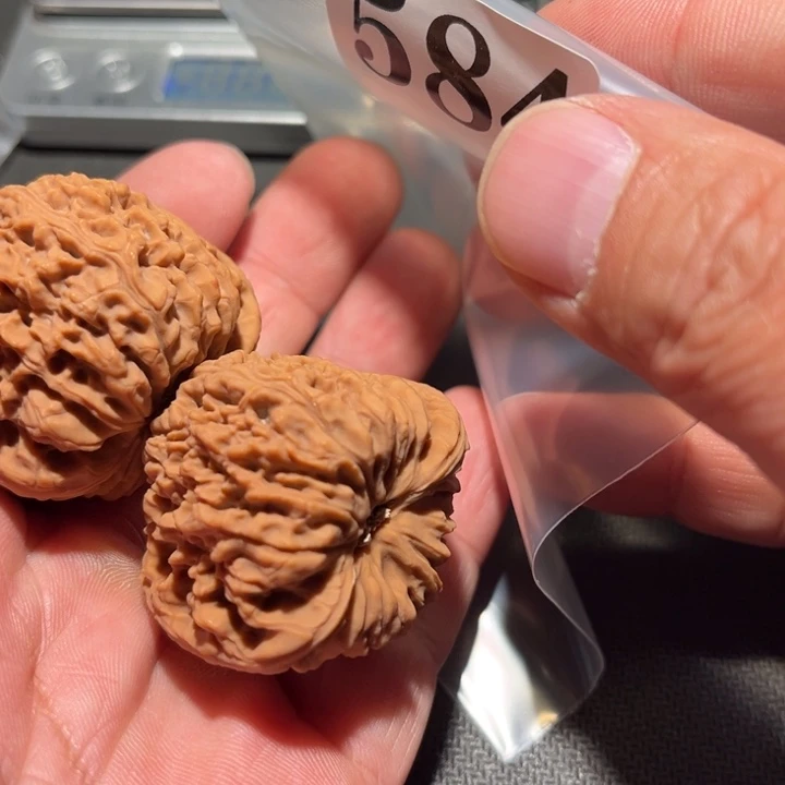 M****核桃111111111111111