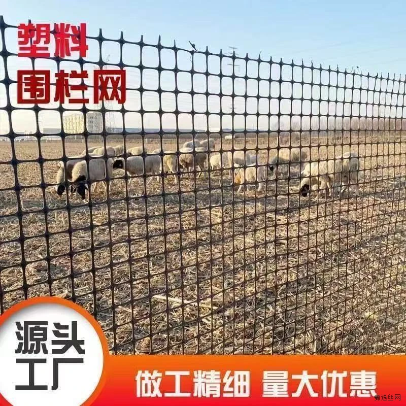 土工格栅塑料网格防护养殖拦养鸡网圈玉米养殖围墙护栏围栏防护网