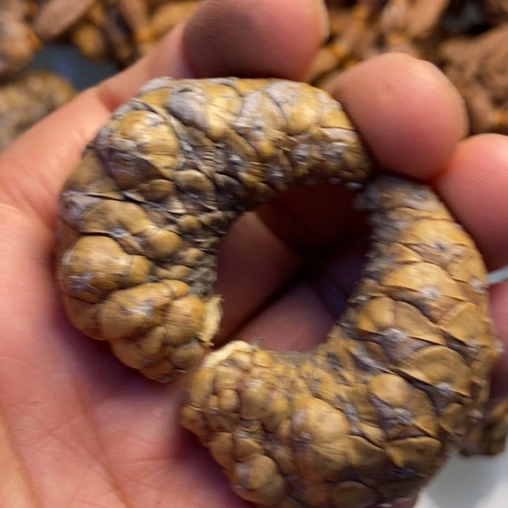 文玩核桃吊坠拿姐工艺30