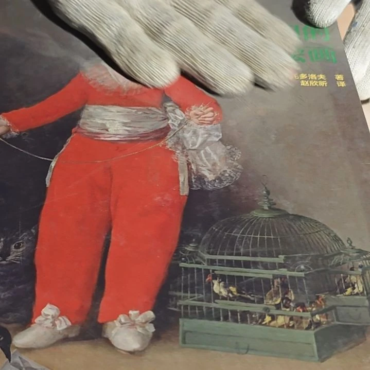 启蒙时期的绘画精装塑封