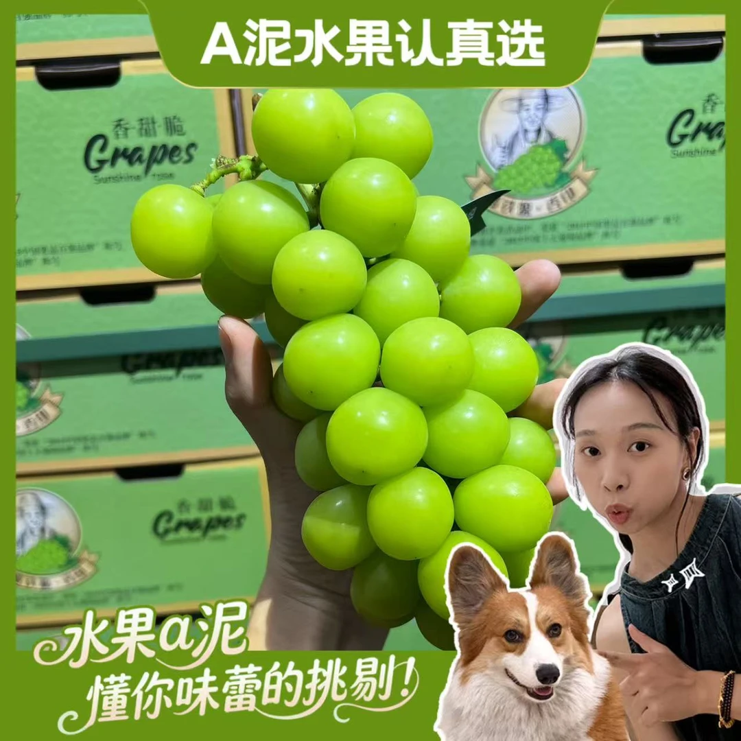 “楼铁源”阳光玫瑰青提 应季整箱无籽香甜多汁【坏果包赔+顺丰包邮】