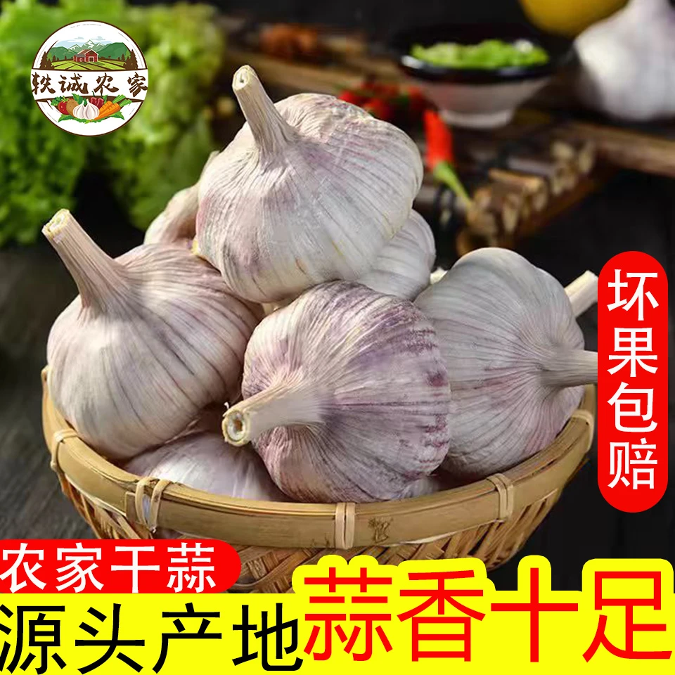 【直播专属】2025年干大蒜5斤杞县特产新鲜晒干紫白皮干蒜头3斤