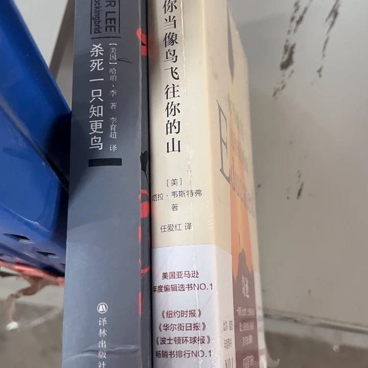 当鸟，知更鸟新书推荐