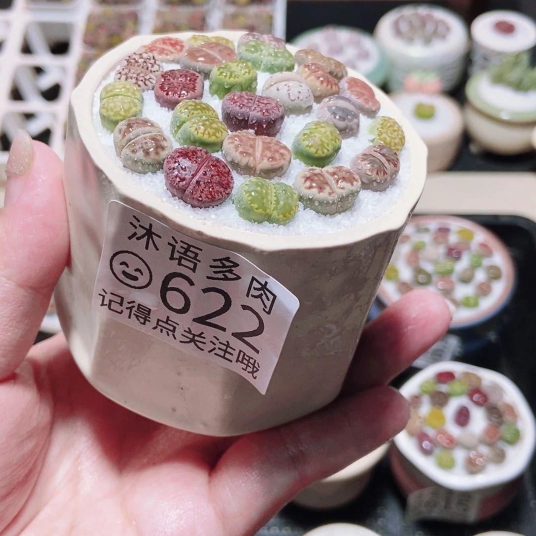 一物一拍 所见即所得622